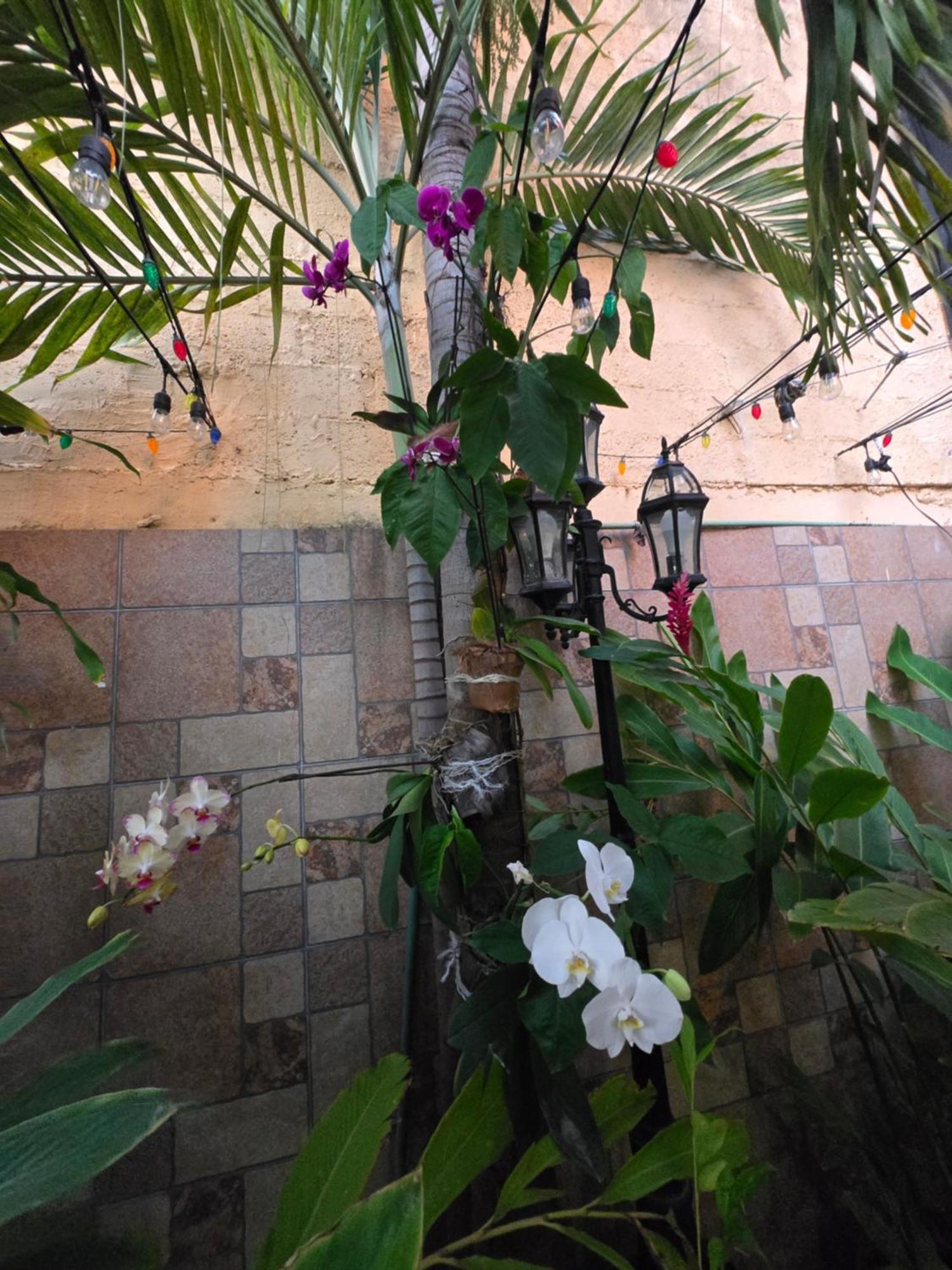 Hotel Posada Marcas Cancún Buitenkant foto